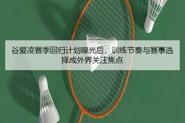 谷爱凌赛季回归计划曝光后，训练节奏与赛事选择成外界关注焦点（wanmeizhenren）